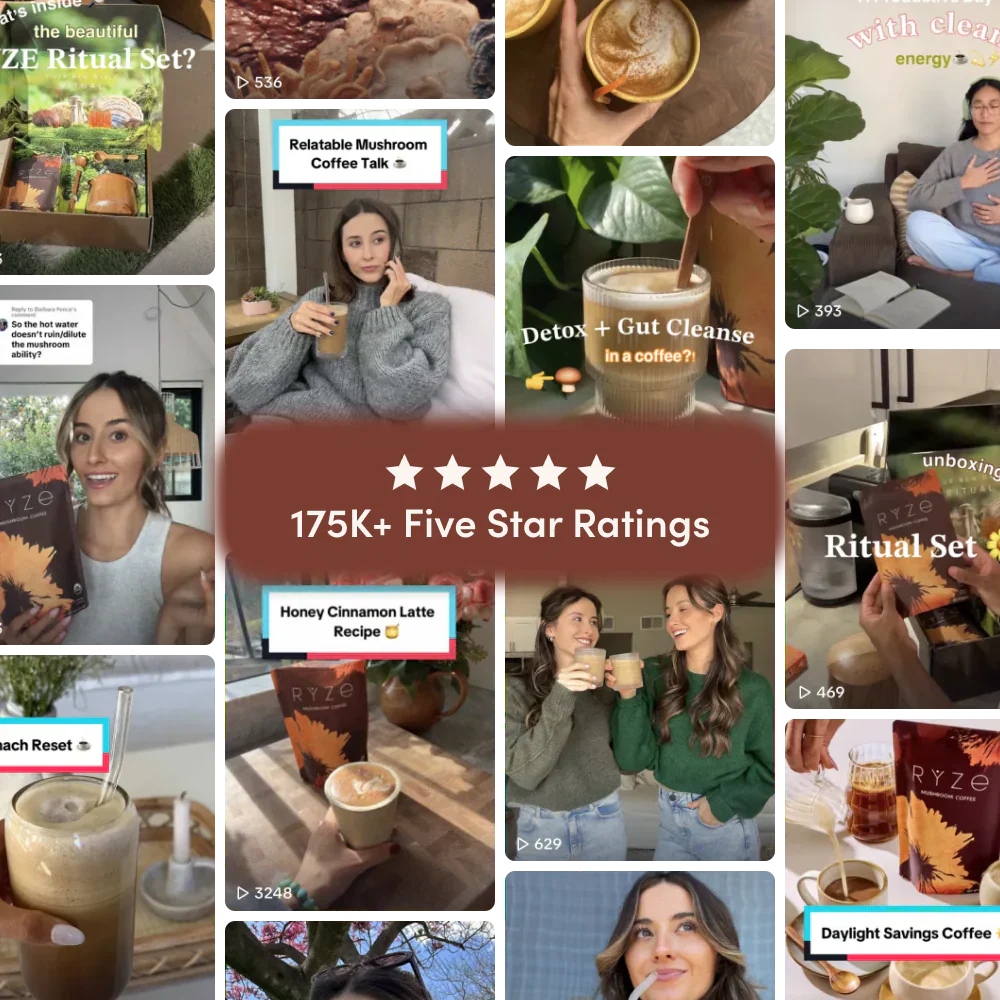 Dark Roast Starter Kit - Choice 796