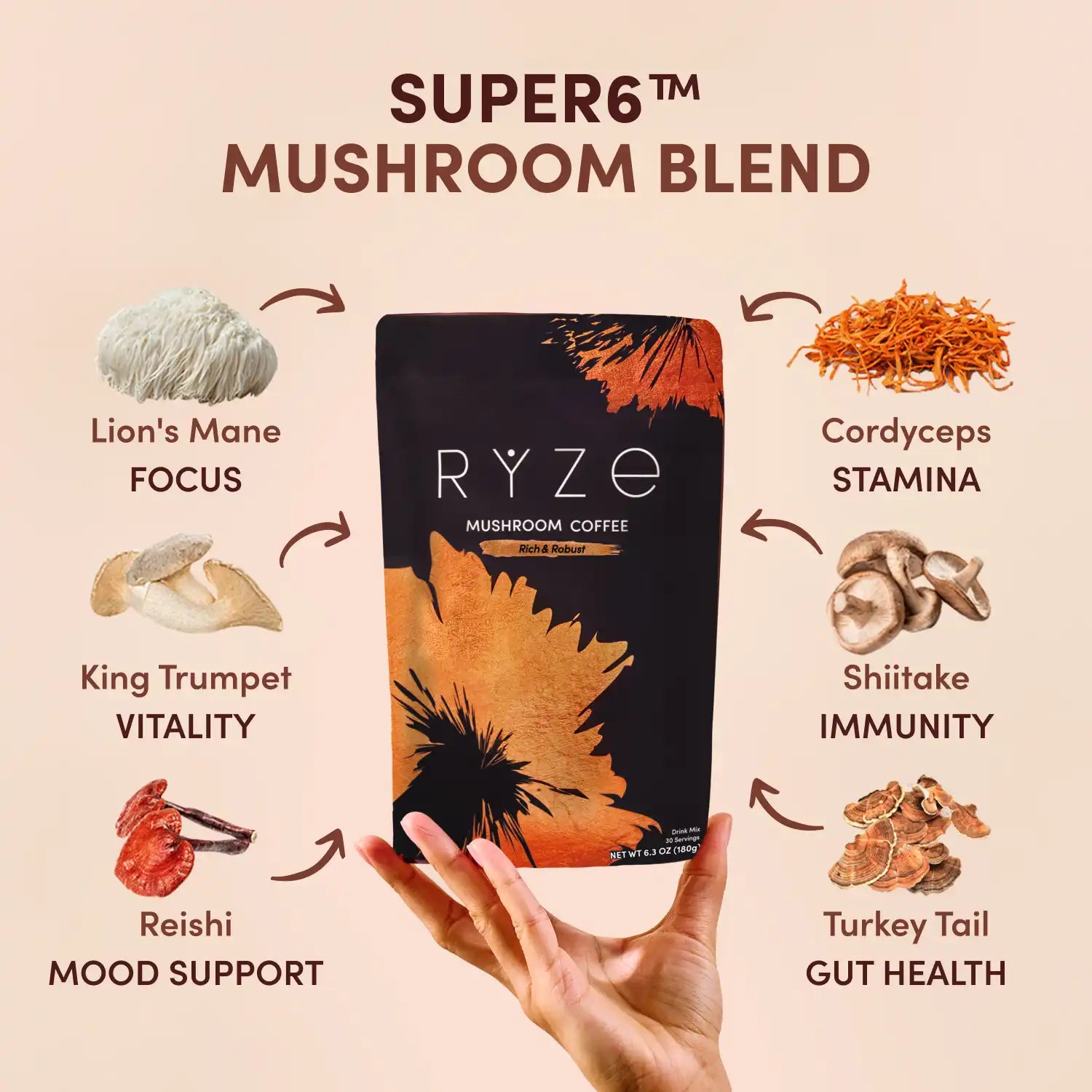 Dark Roast Starter Kit - Choice 796
