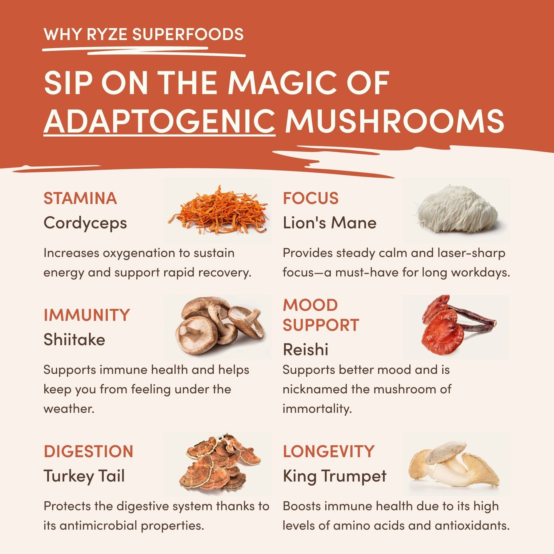 Superfood Creamer - Choice 369