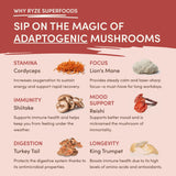 Mushroom Chai - Choice 785